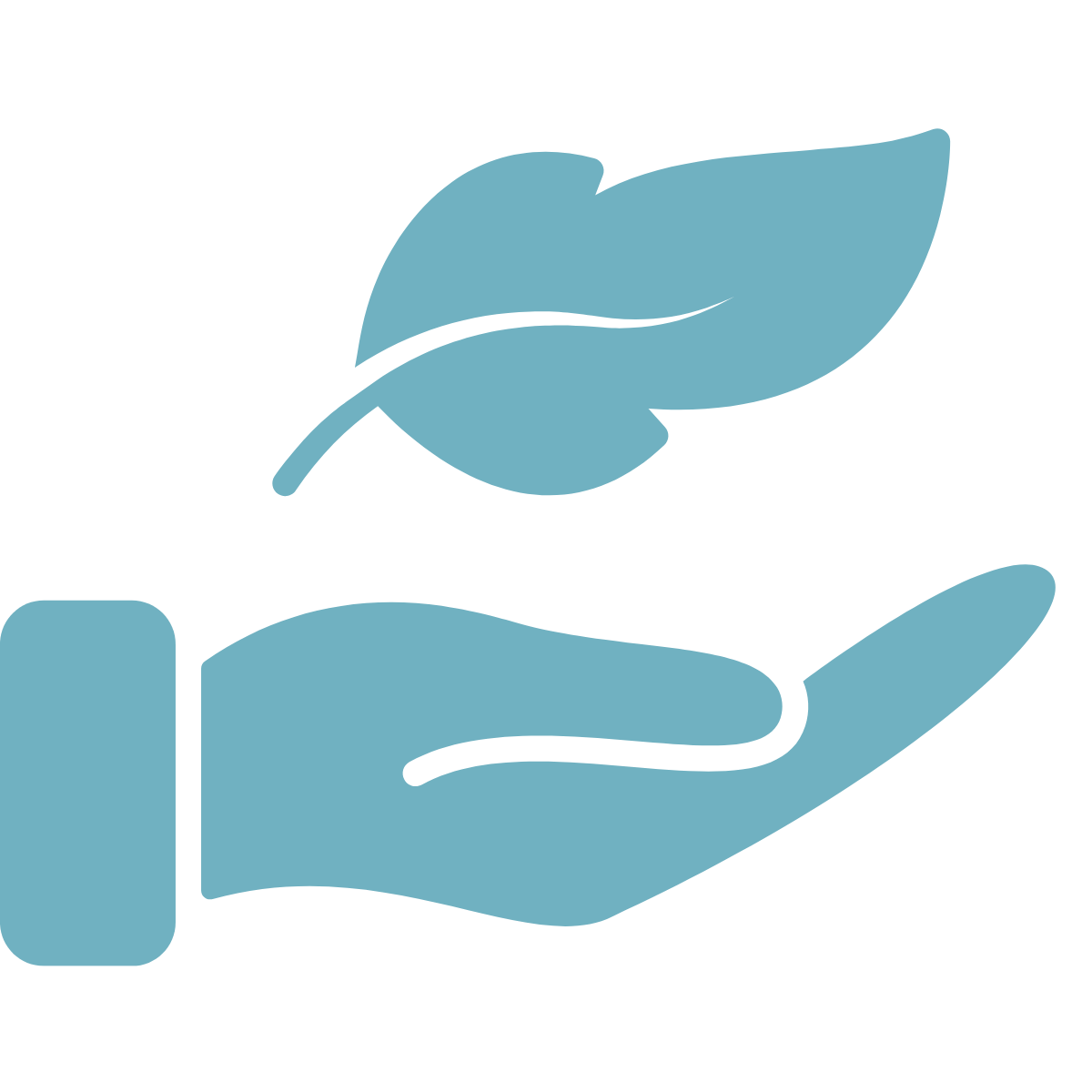 Lightweight violin case icon