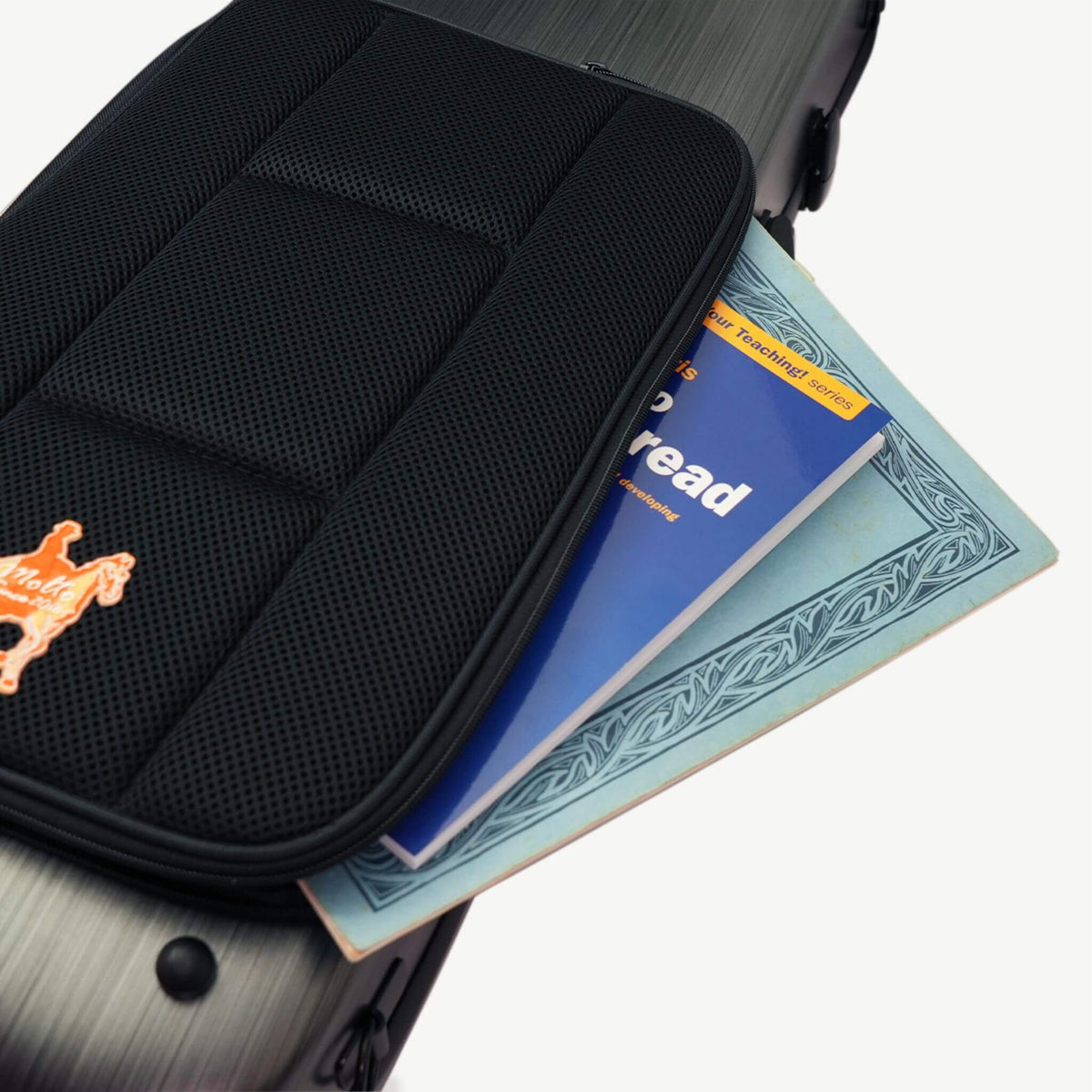 Molto Classic Oblong Viola Case