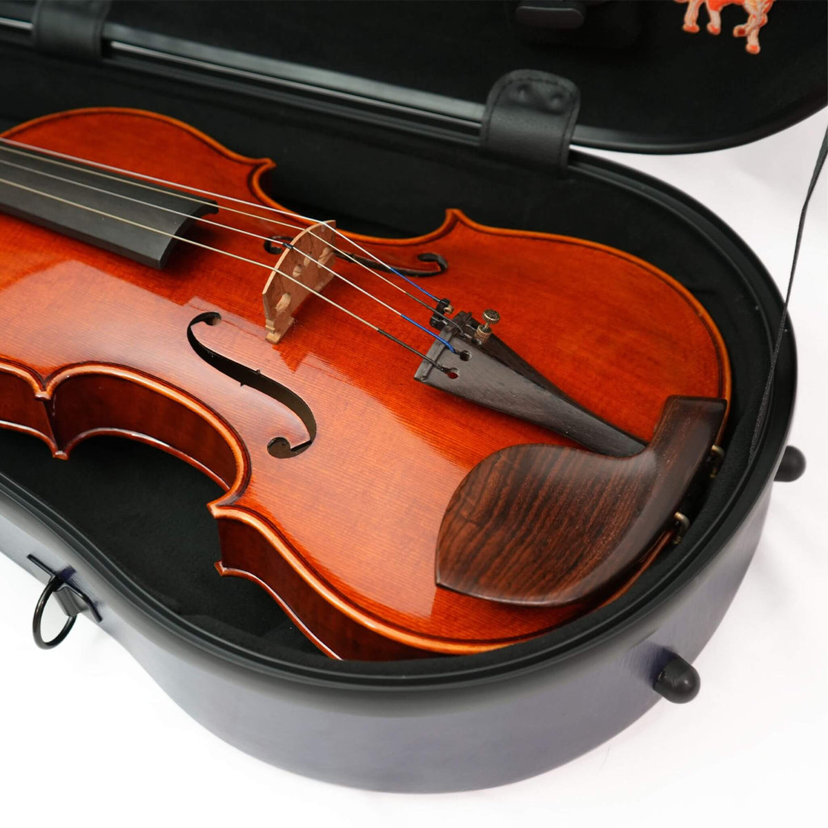 Molto Neo Shaped Viola Case