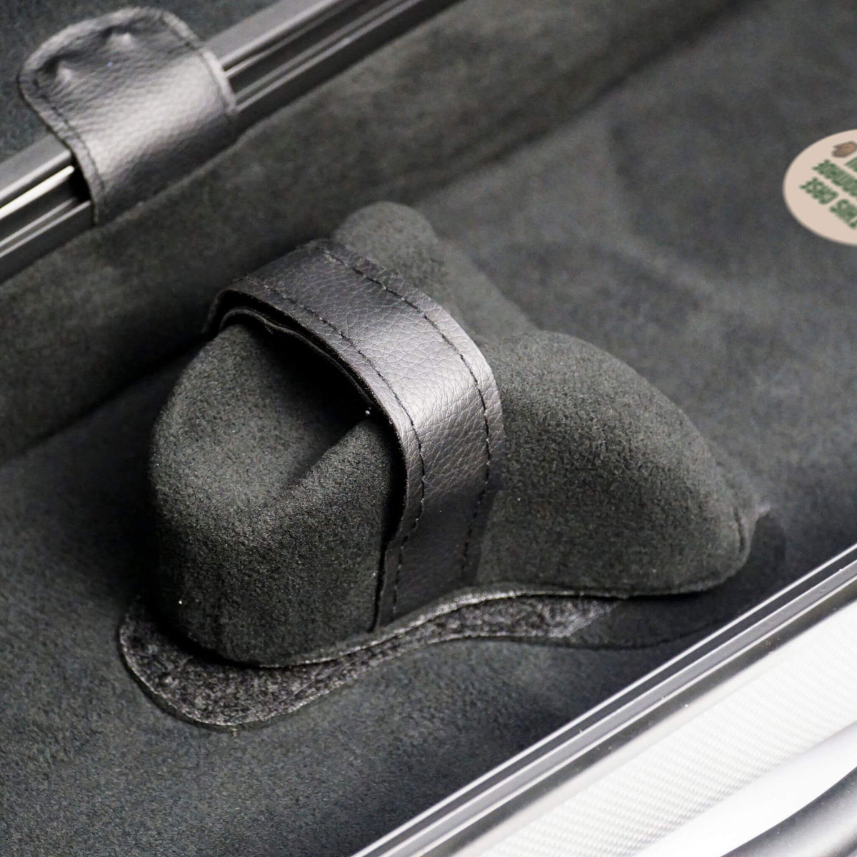 Molto Neo Shaped Violin Case