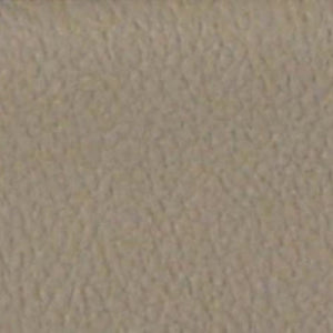 New Bam L'etoile Oblong Violin Case Greige