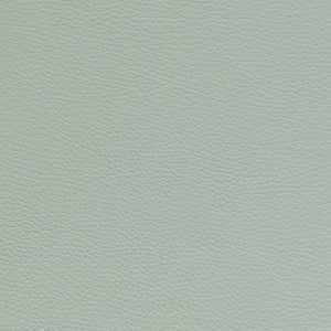 New Bam L'etoile Oblong Violin Case Pistache