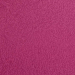 New Bam L'etoile Oblong Violin Case Raspberry Red