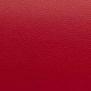 New Bam L'etoile Oblong Violin Case Red