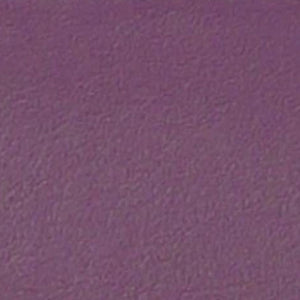 New Bam L'etoile Oblong Violin Case Violet