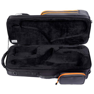 Bam PEAK Alto Sax case