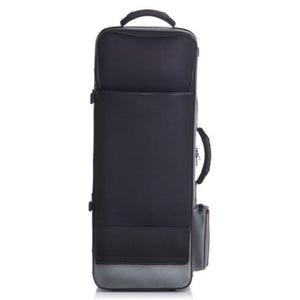 Bam Saint Germain Tenor Sax Case Gray