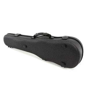 Jakob Winter  Carbon Design Greenline Shaped Viola Case