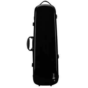 Aileen Carbon Fiber Cherishing Compact Violin Case