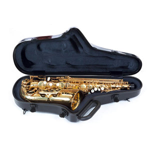 Bam Stage Alto Sax Case