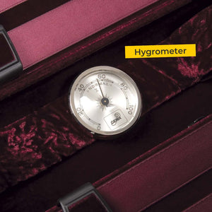 Gewa Maestro Violin Case Hygrometer