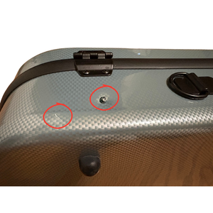 Molto Neo Shaped Violin Case in Mint