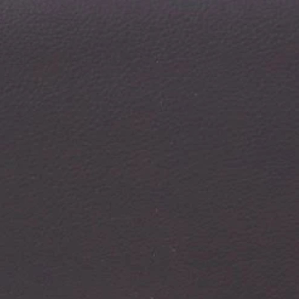 New Bam L'etoile Oblong Violin Case Chocolate