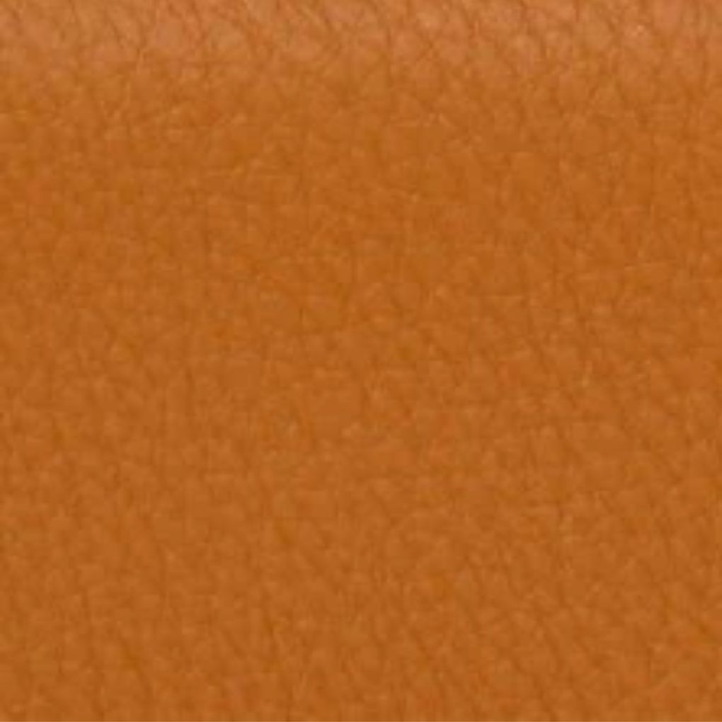 New Bam L'etoile Oblong Violin Case Cognac