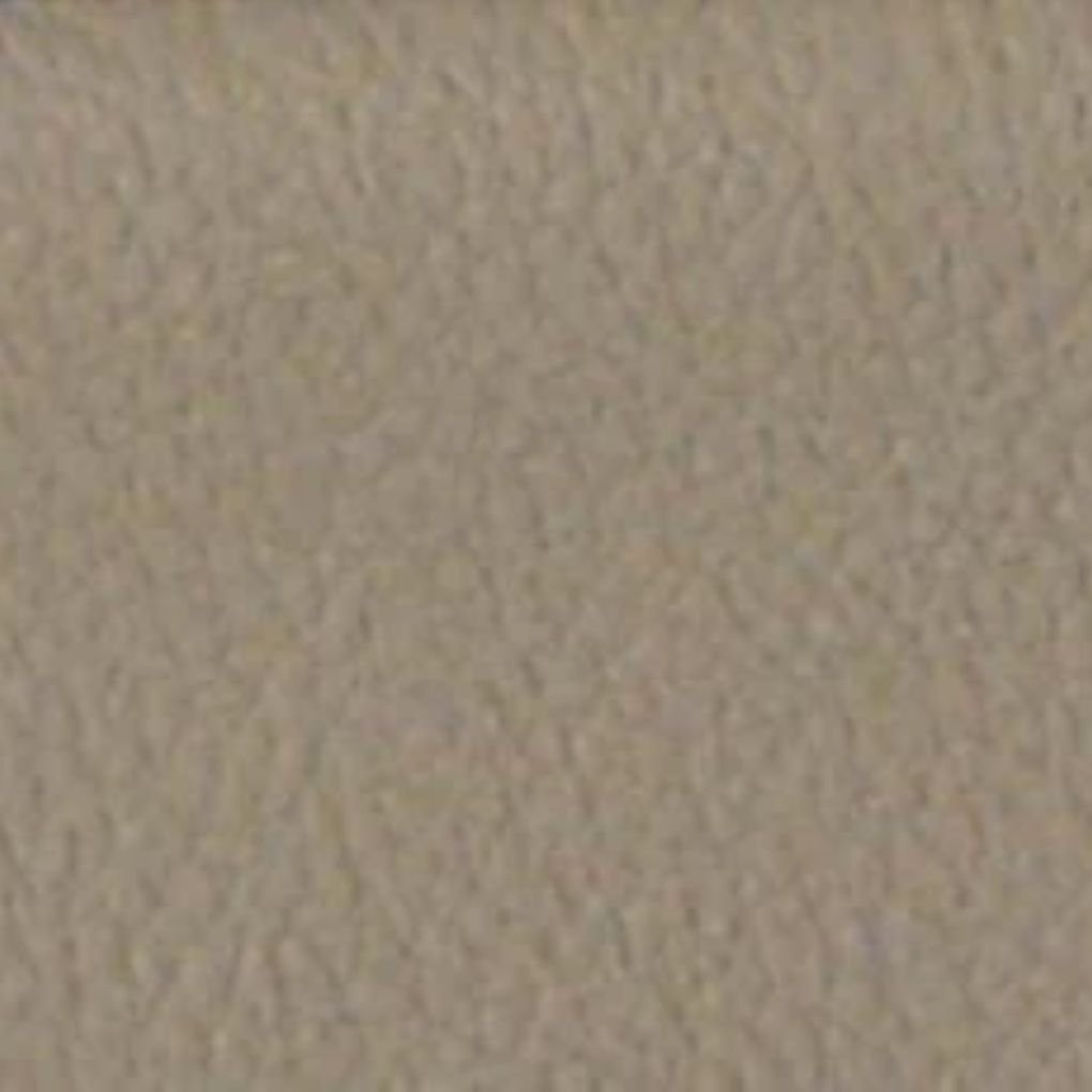 New Bam L'etoile Oblong Violin Case Greige