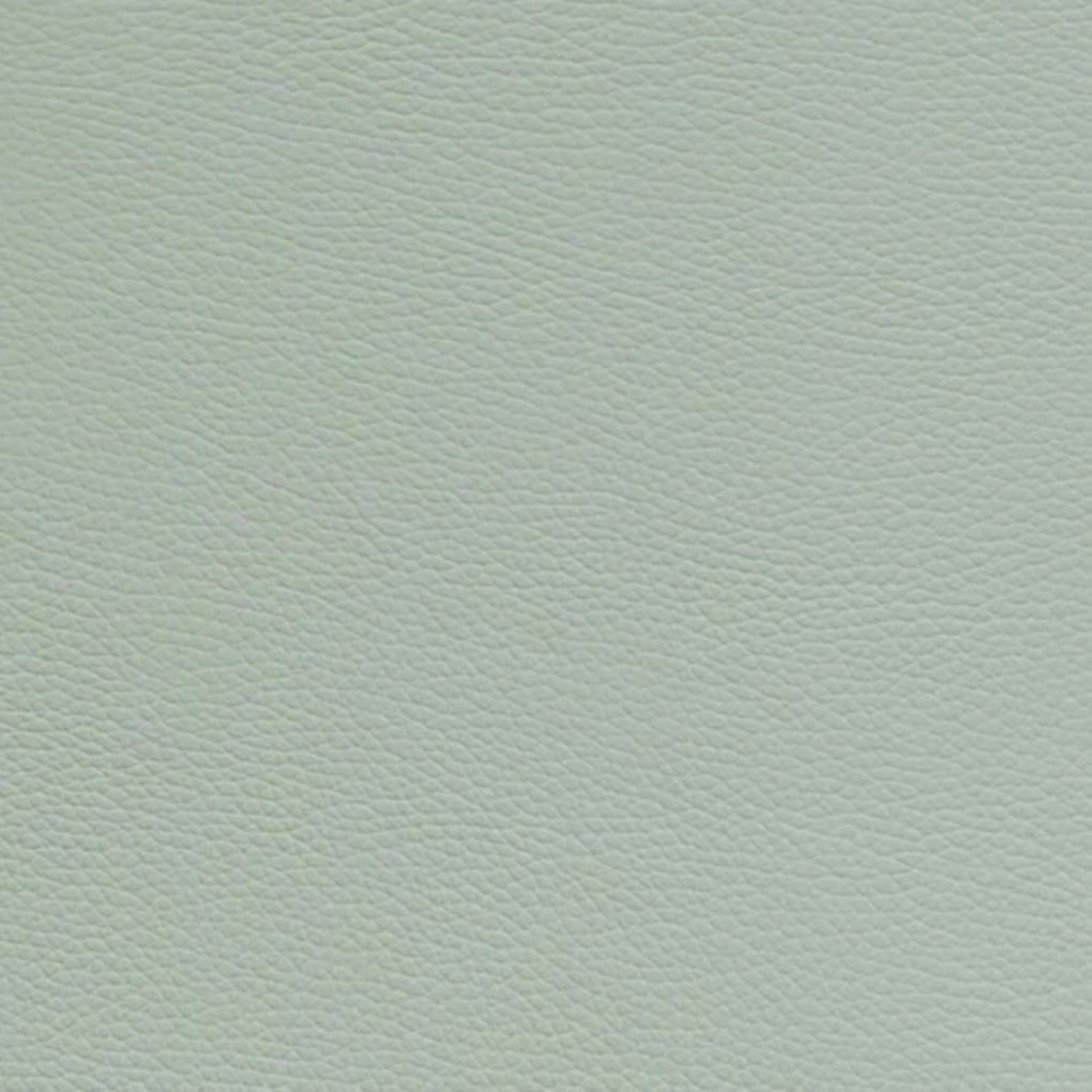 New Bam L'etoile Oblong Violin Case Pistache