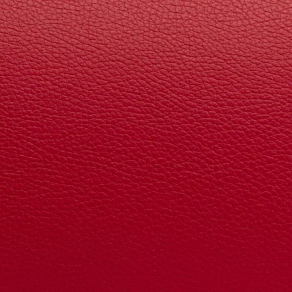 New Bam L'etoile Oblong Violin Case Red