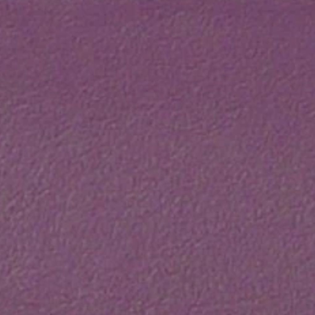 New Bam L'etoile Oblong Violin Case Violet