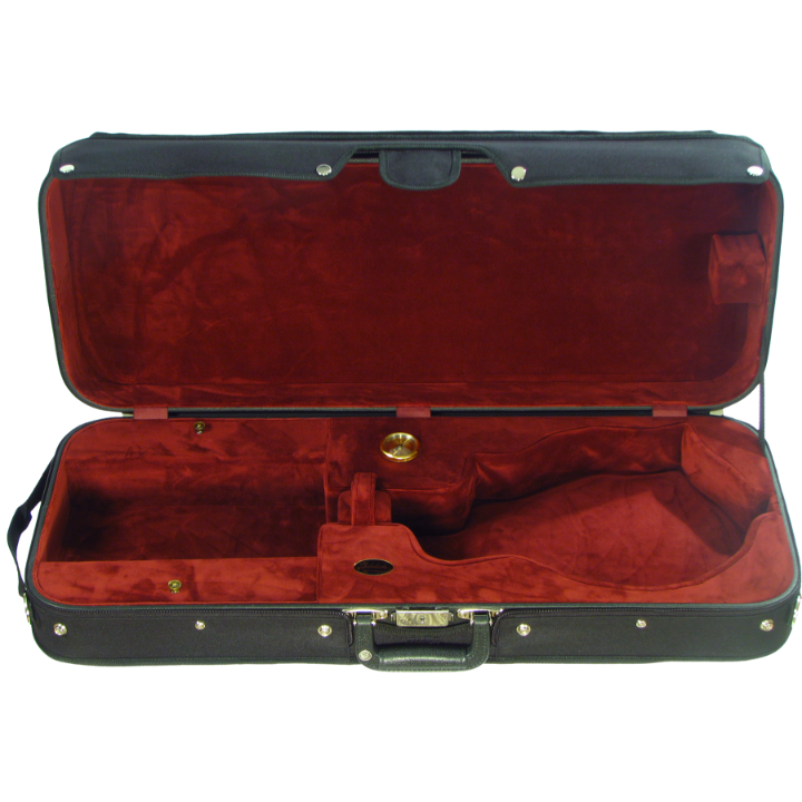 Oblong Mandolin Case 