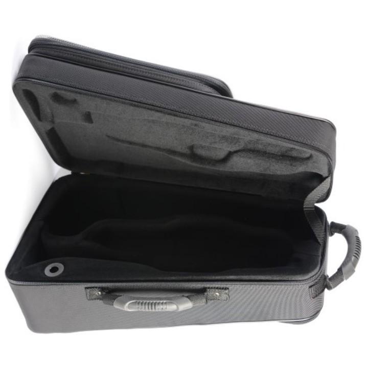 Trumpet case for sale sale