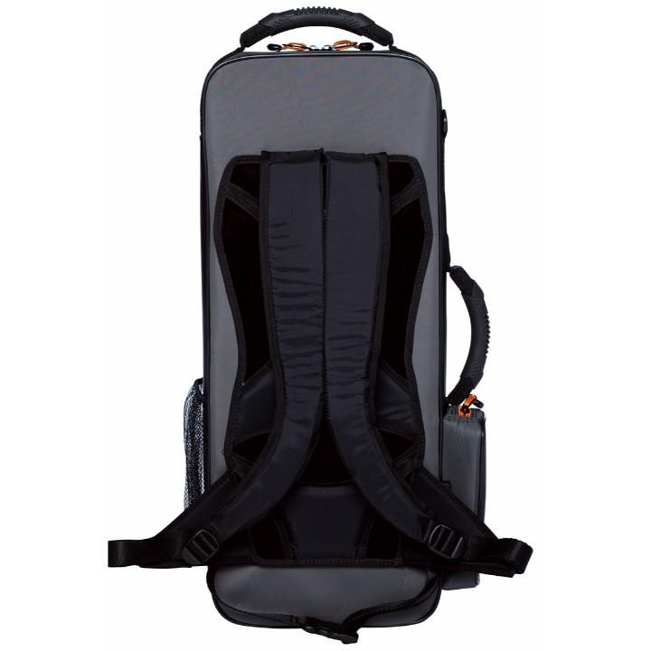 Bam PEAK Alto Sax case