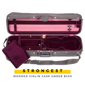 Violin Case with hygrometer