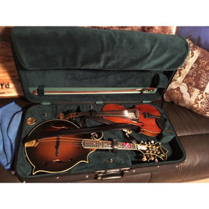 violin mandolin case