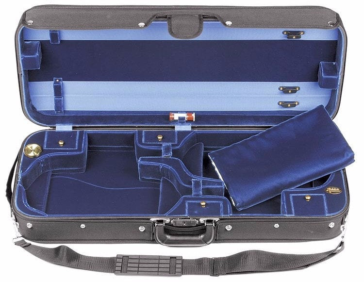 Great violin cases sale